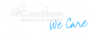 Carlton Animal Hospital